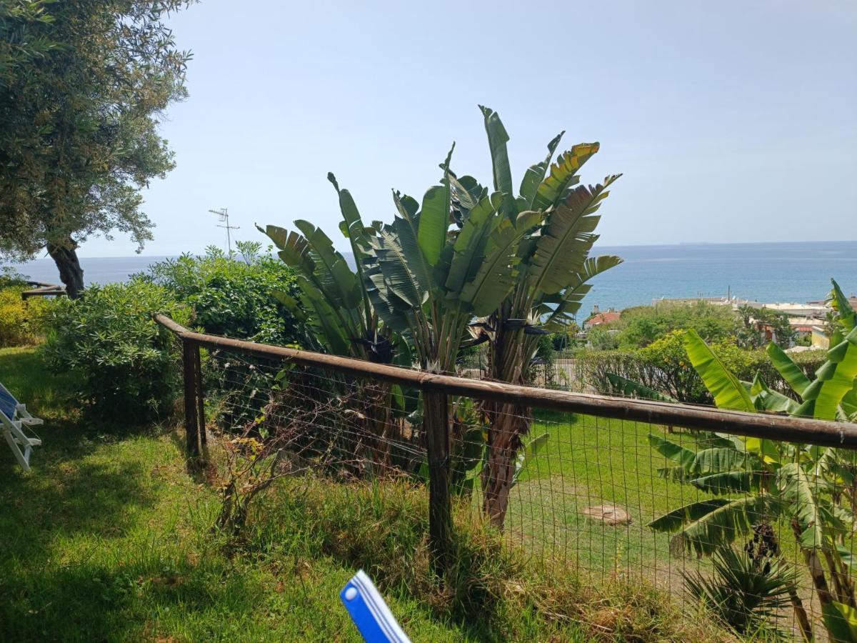 La Dea Del Mare Apartment Forio  Exterior photo